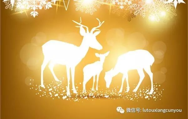 中國(guó)民族品牌 中國(guó)民族品牌