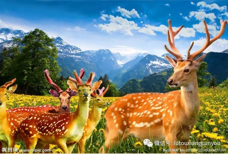 中國(guó)民族品牌網(wǎng) 中國(guó)民族品牌網(wǎng)