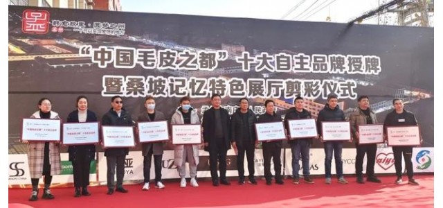南莊鎮(zhèn)桑坡村十大自主品牌榮耀出爐！